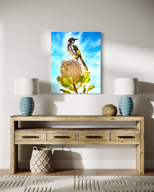 60 x 90cm Stunning image by Brian Kowald representing a New Holland Honeyeater perched on top of a Banksia flower