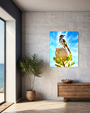 100 x 133cm Stunning image by Brian Kowald representing a New Holland Honeyeater perched on top of a Banksia flower