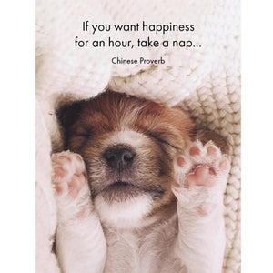 If you want happiness for an hour, take a nap... Chinese proverb