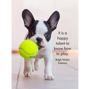 Affirmation card with French bull dog and the words "It is a happy talent to know how to play" by Ralph Waldo Emerson