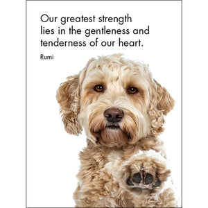 Good Dogs affirmation cards including this one saying "Our greatest strength lies in the gentleness and tenderness of our heart".