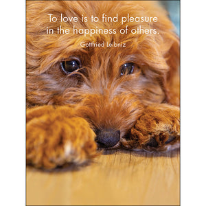 Good Dogs affirmation cards including this one saying "To love is to find pleasure in the happiness of others."