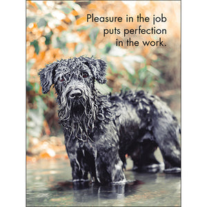 Good Dogs affirmation cards including this one saying "Pleasure in the job puts perfection in the work."