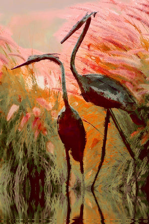 Image of Heron couple at twilight amongst the reeds by Brian Kowald