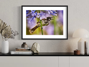 Small size canvas image of 'Morning Song' by Brian Kowald