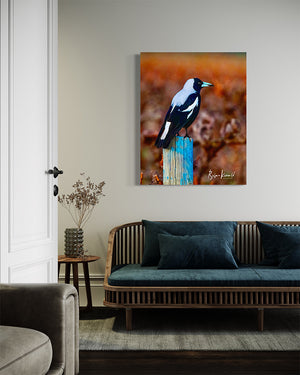 75 x 100cm Photographic image by Brian Kowald depicting a magpie relaxing on a wooden post amongst the vines