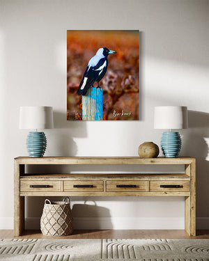 60 x 90cm Photographic image by Brian Kowald depicting a magpie relaxing on a wooden post amongst the vines