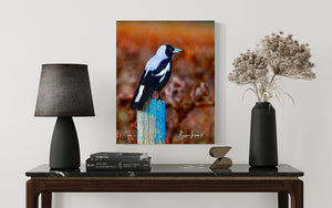 40 x 60cm Photographic image by Brian Kowald depicting a magpie relaxing on a wooden post amongst the vines