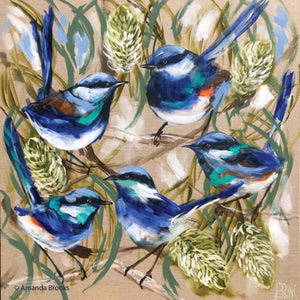 Hand painted image by Amanda Brooks of Blue Wrens hiding amongst the banksia plant