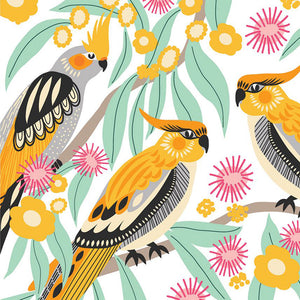 A more delicate greeting card from Kirsten Katz with three cockatiels sitting amongst flowering wattle branches